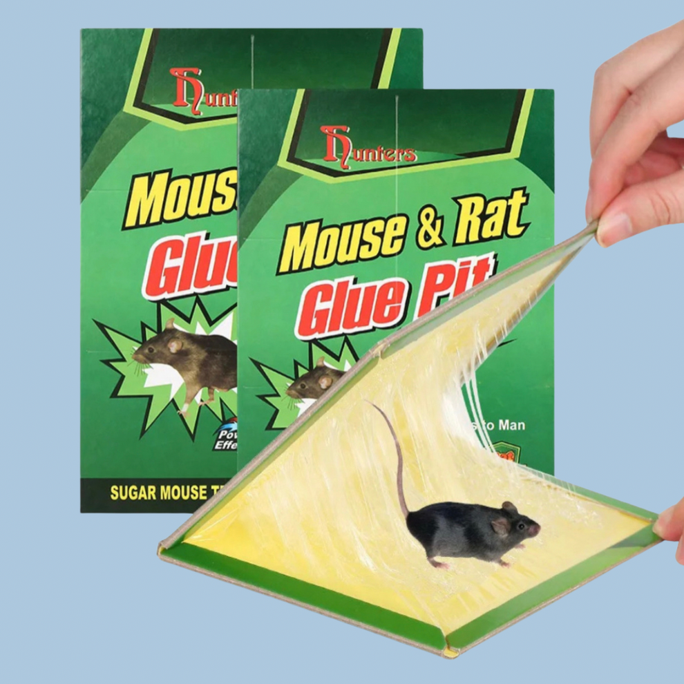 Pack 10 Trampa Atrapa Moscas e Insectos Ratas Pegamento Adhesivo
